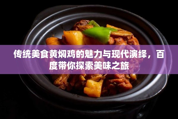 傳統美食黃燜雞的魅力與現代演繹,百度帶你探索美味之旅