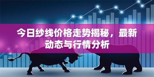 今日紗線價格走勢揭秘,最新動態與行情分析