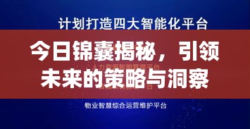 今日錦囊揭秘,引領未來的策略與洞察最新消息