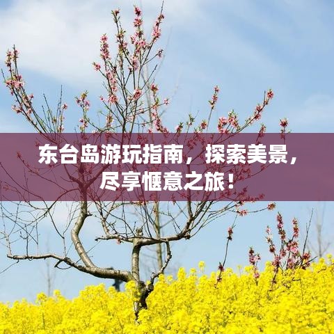 東臺(tái)島游玩指南,探索美景,盡享愜意之旅!