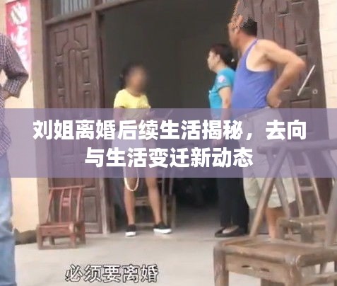 劉姐離婚后續生活揭秘,去向與生活變遷新動態