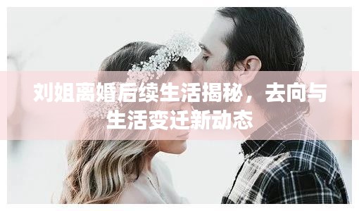 劉姐離婚后續生活揭秘,去向與生活變遷新動態