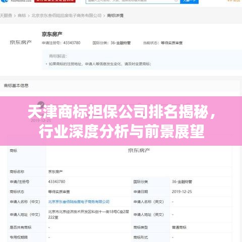 天津商標擔保公司排名揭秘,行業深度分析與前景展望