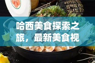 哈西美食探索之旅,最新美食視頻播放網(wǎng)站,啟程味蕾盛宴!