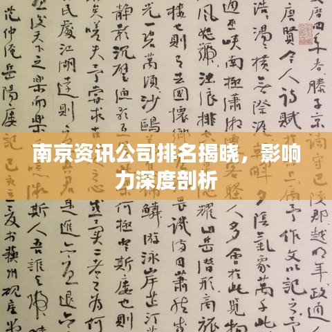 南京資訊公司排名揭曉，影響力深度剖析