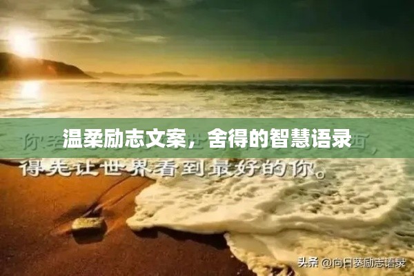 溫柔勵志文案，舍得的智慧語錄