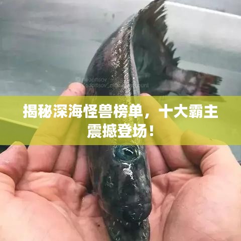 揭秘深海怪獸榜單，十大霸主震撼登場！