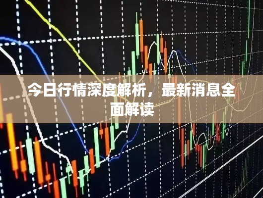 今日行情深度解析,最新消息全面解讀