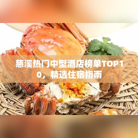 慈溪熱門中型酒店榜單TOP10，精選住宿指南