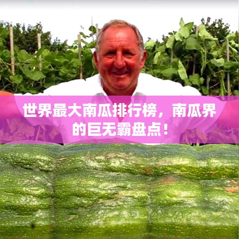 世界最大南瓜排行榜,南瓜界的巨無霸盤點!