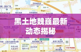 黑土地魏巍最新動態揭秘