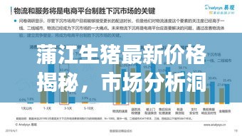 蒲江生豬最新價格揭秘,市場分析洞察與趨勢預測