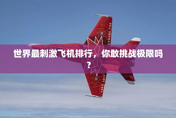世界最刺激飛機排行,你敢挑戰極限嗎?