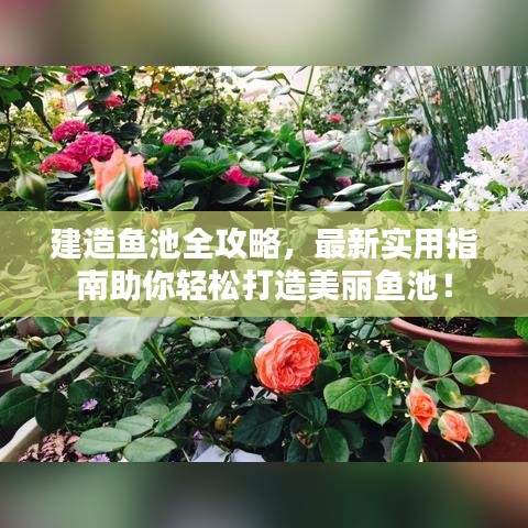建造魚池全攻略,最新實用指南助你輕松打造美麗魚池!