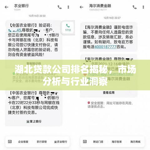 湖北貸款公司排名揭秘，市場分析與行業洞察