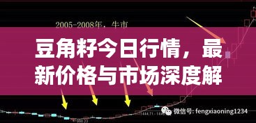 豆角籽今日行情，最新價格與市場深度解析