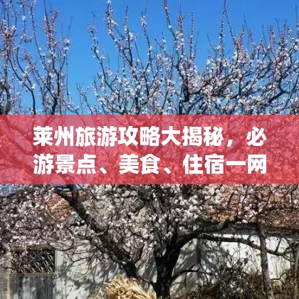 萊州旅游攻略大揭秘，必游景點、美食、住宿一網打盡！