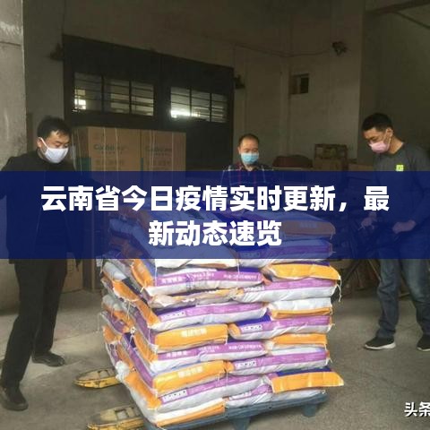 云南省今日疫情實時更新,最新動態(tài)速覽