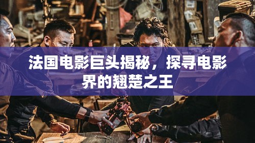 法國電影巨頭揭秘，探尋電影界的翹楚之王