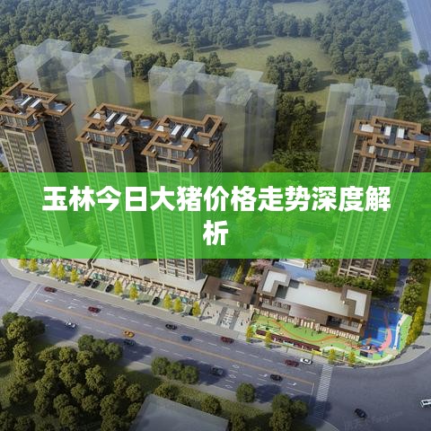 玉林今日大豬價格走勢深度解析