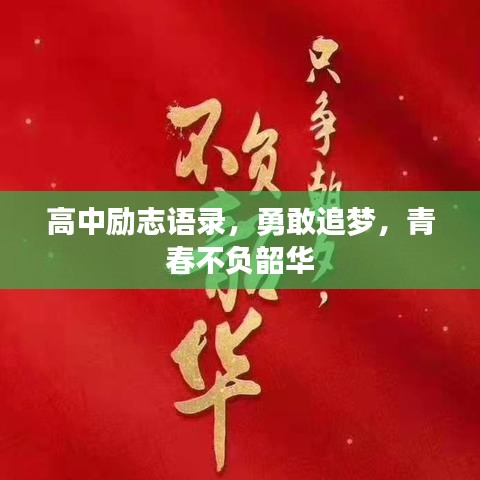 高中勵志語錄,勇敢追夢,青春不負韶華