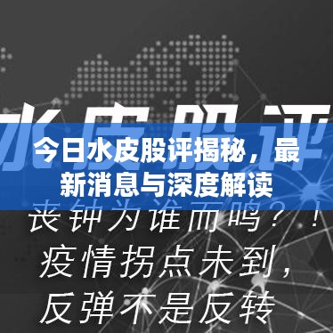 今日水皮股評揭秘,最新消息與深度解讀