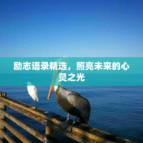勵志語錄精選,照亮未來的心靈之光