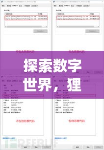 探索數(shù)字世界,貍窩下載器助你輕松百度暢游