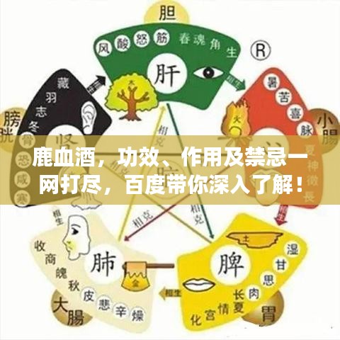 鹿血酒,功效、作用及禁忌一網打盡,百度帶你深入了解!