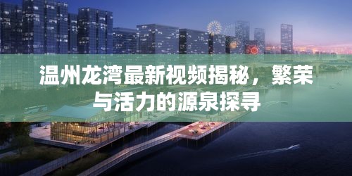 溫州龍灣最新視頻揭秘,繁榮與活力的源泉探尋