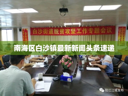 南海區白沙鎮最新新聞頭條速遞