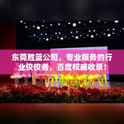 東莞勝藍公司,專業服務的行業佼佼者,百度權威收錄!