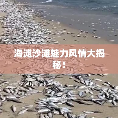 海灘沙灘魅力風情大揭秘!