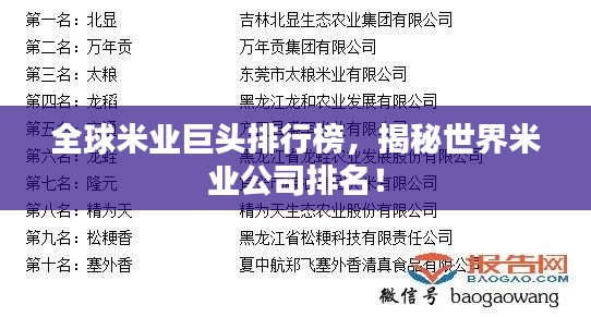 全球米業巨頭排行榜，揭秘世界米業公司排名！