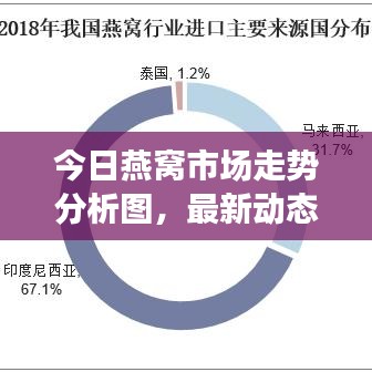 今日燕窩市場走勢分析圖，最新動態與市場前景展望