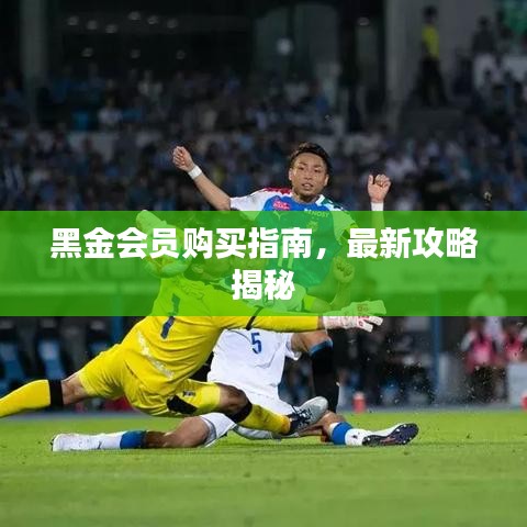 黑金會員購買指南,最新攻略揭秘