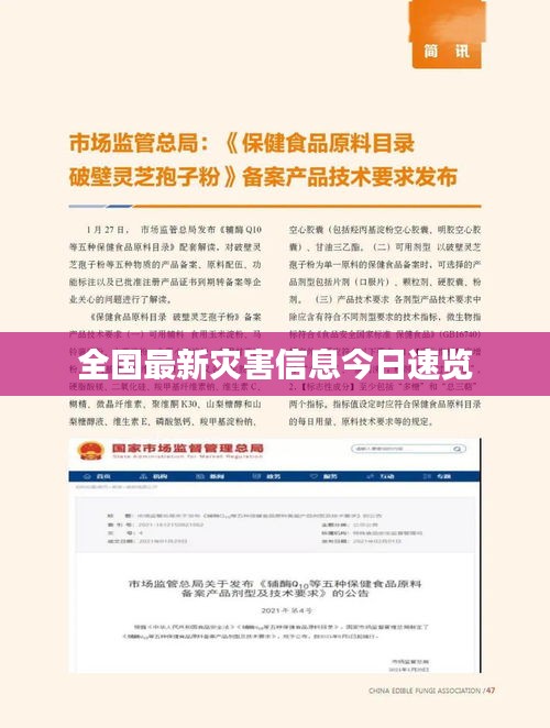 全國(guó)最新災(zāi)害信息今日速覽