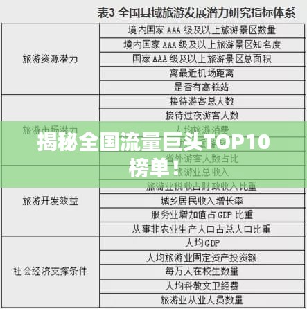 揭秘全國流量巨頭TOP10榜單!