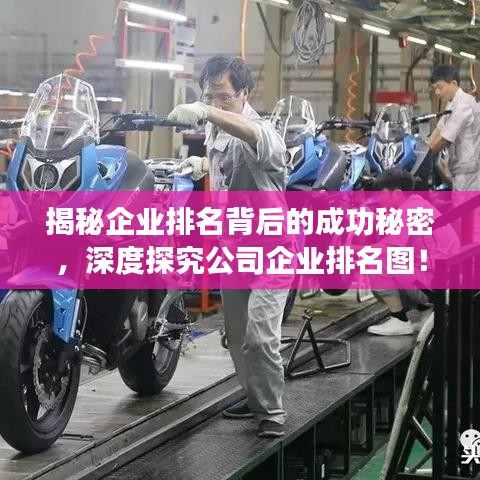 揭秘企業排名背后的成功秘密，深度探究公司企業排名圖！