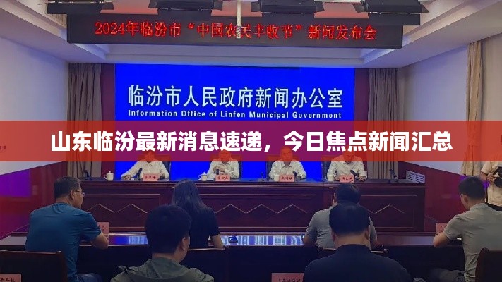 山東臨汾最新消息速遞,今日焦點(diǎn)新聞匯總