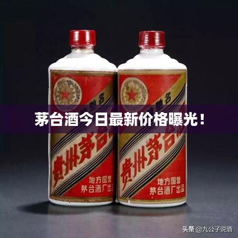 茅臺酒今日最新價格曝光!