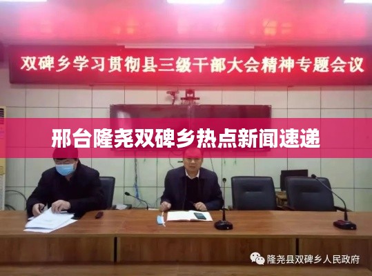 邢臺隆堯雙碑鄉(xiāng)熱點新聞速遞