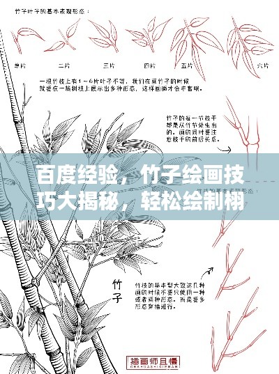 百度經(jīng)驗(yàn)，竹子繪畫技巧大揭秘，輕松繪制栩栩如生竹葉圖