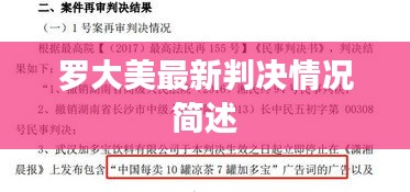 羅大美最新判決情況簡述