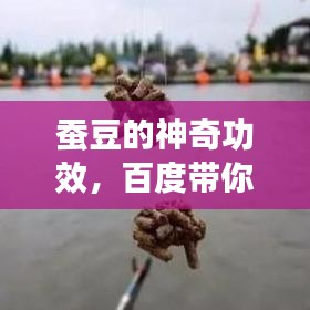 鳥語花香 第3頁