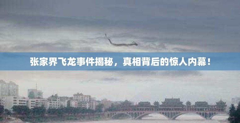 張家界飛龍事件揭秘,真相背后的驚人內幕!