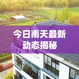 今日南天最新動態揭秘