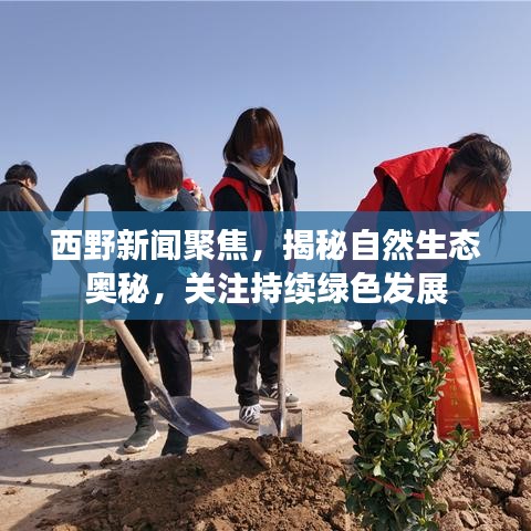 西野新聞聚焦,揭秘自然生態奧秘,關注持續綠色發展