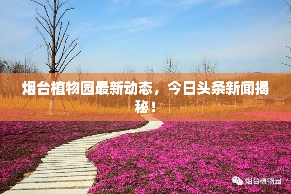 煙臺植物園最新動態，今日頭條新聞揭秘！