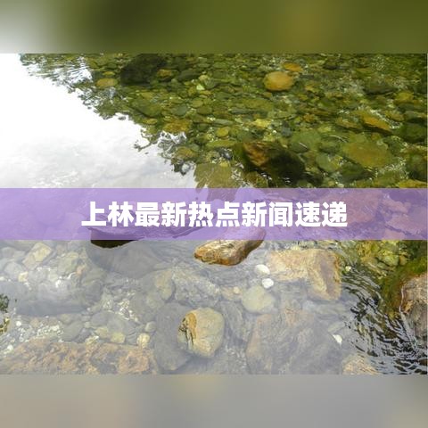 上林最新熱點新聞速遞